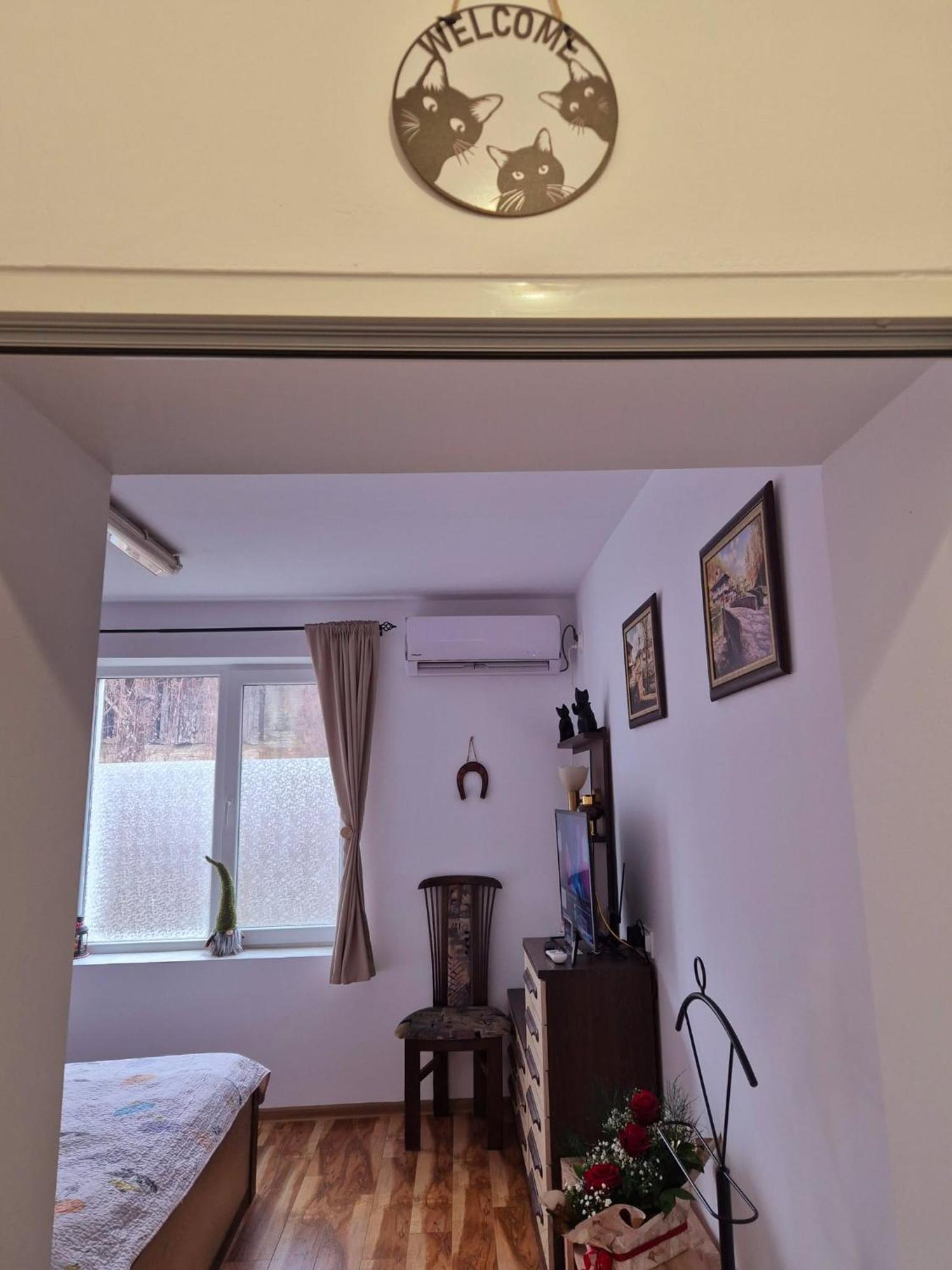 Apartment Shesti Uchastak Gabrovo Exterior foto